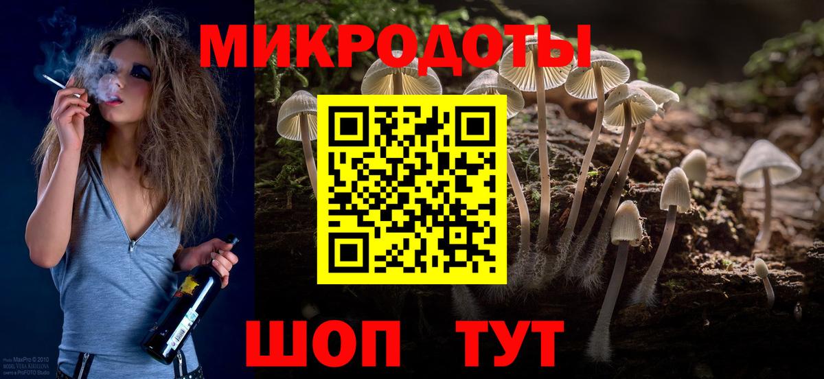 Псилоцибиновые грибы Cubensis Мытищи